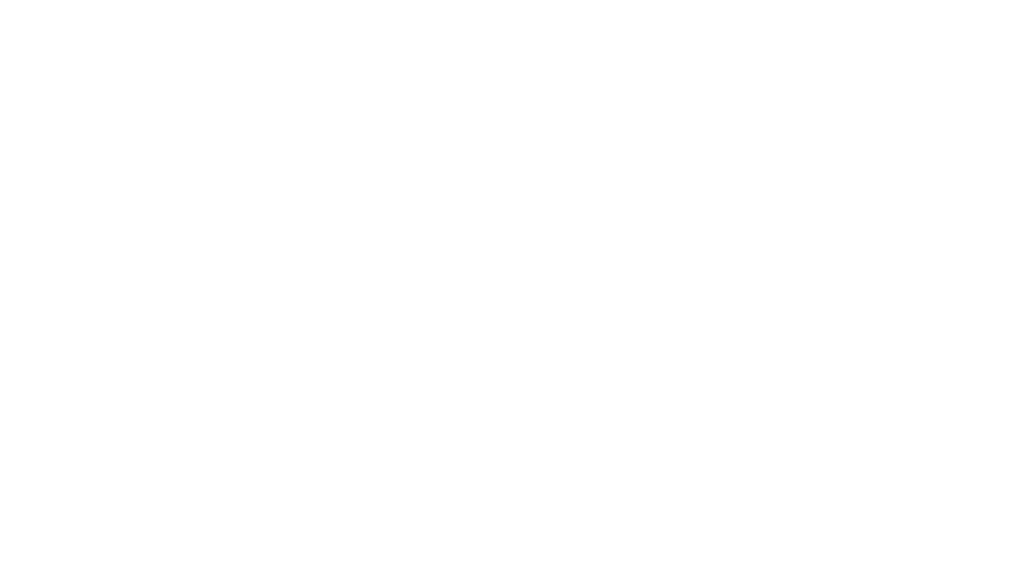 Rally Motors Group Logo